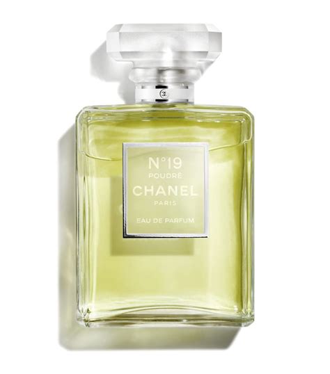 chanel 19 poudre perfume|is chanel no 19 discontinued.